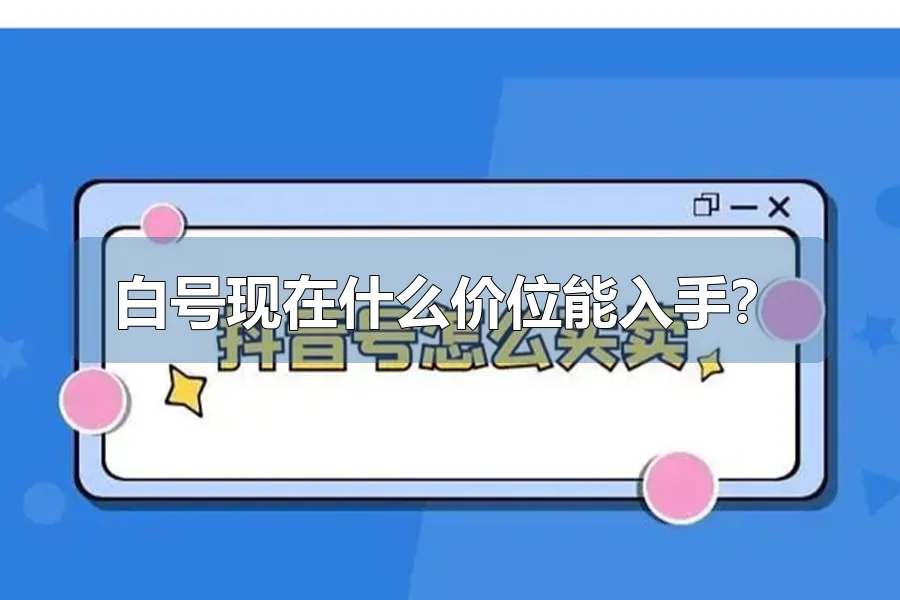 白号现在什么价位能入手?
