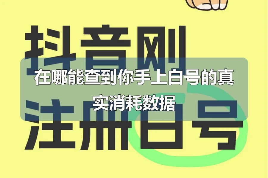 在哪能查到你手上白号的真实消耗数据